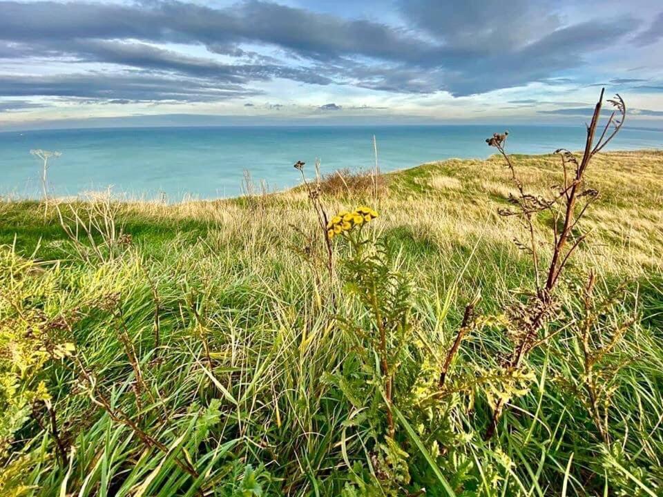 Plage A 50M Appartement Reves Ensoleilles Villa Les Bains De Mers Kültér fotó