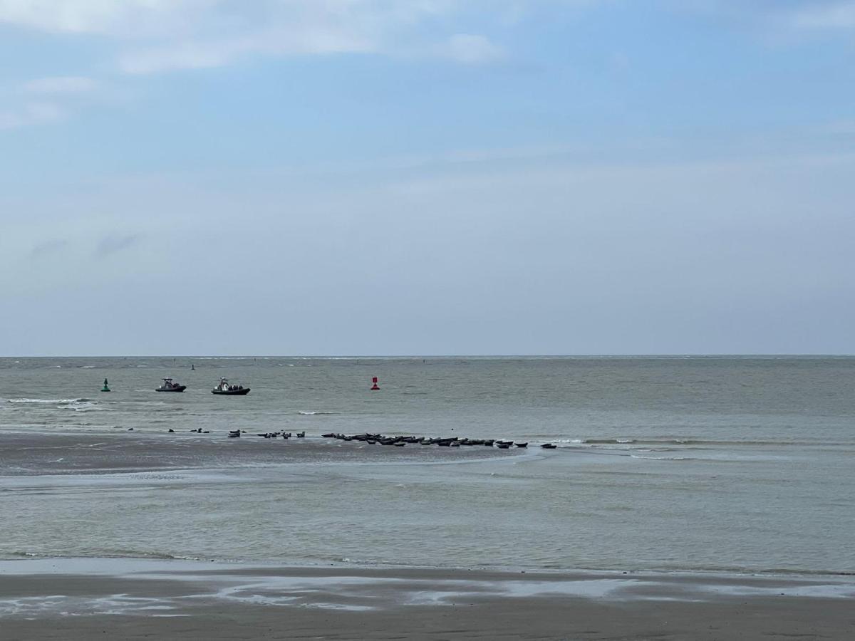 Plage A 50M Appartement Reves Ensoleilles Villa Les Bains De Mers Kültér fotó