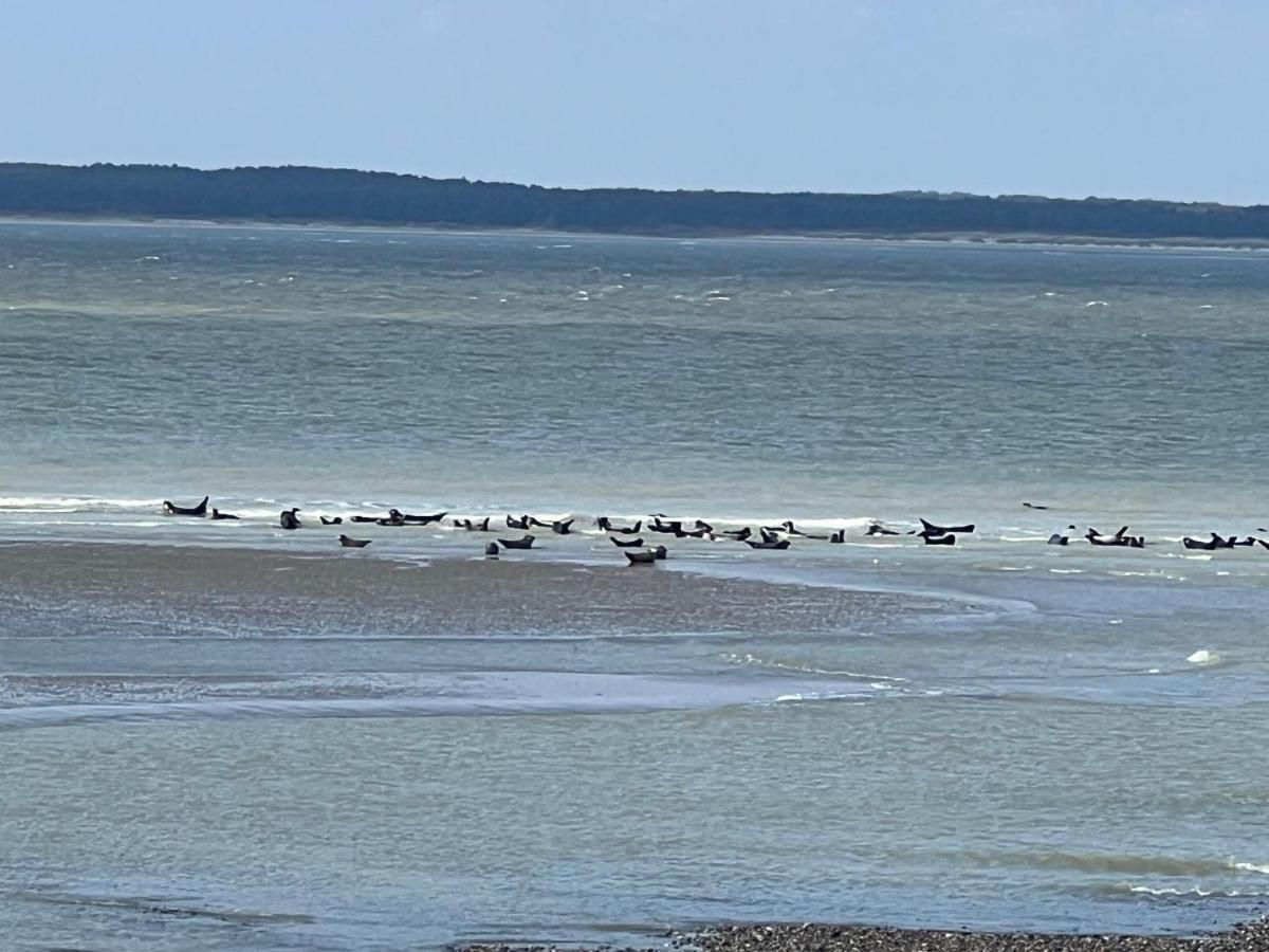 Plage A 50M Appartement Reves Ensoleilles Villa Les Bains De Mers Kültér fotó